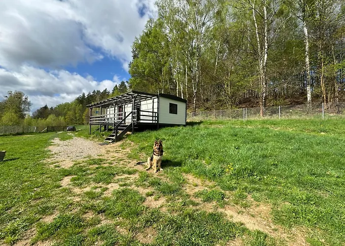 Samotnia Biesalska Villa photo