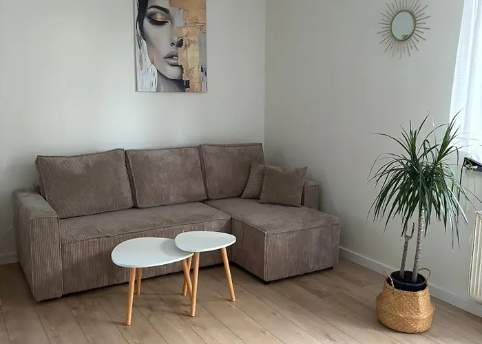 صورة Przestronny Apartament W Lubawie Z Dwoma Pokojami I Swietnym Wyposazeniem Lubawa