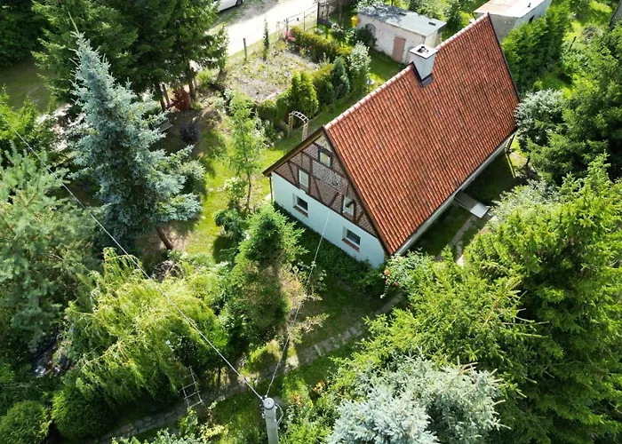 Фото Swierkowe Ranczo Raciszewo